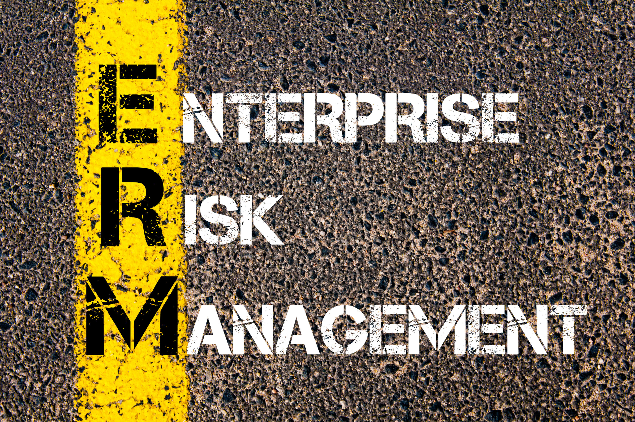 risk management, enterprise risk management, executive protection, security consulting, physical security, security