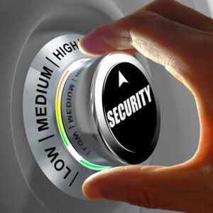 security, executive protection, risk management, security consulting